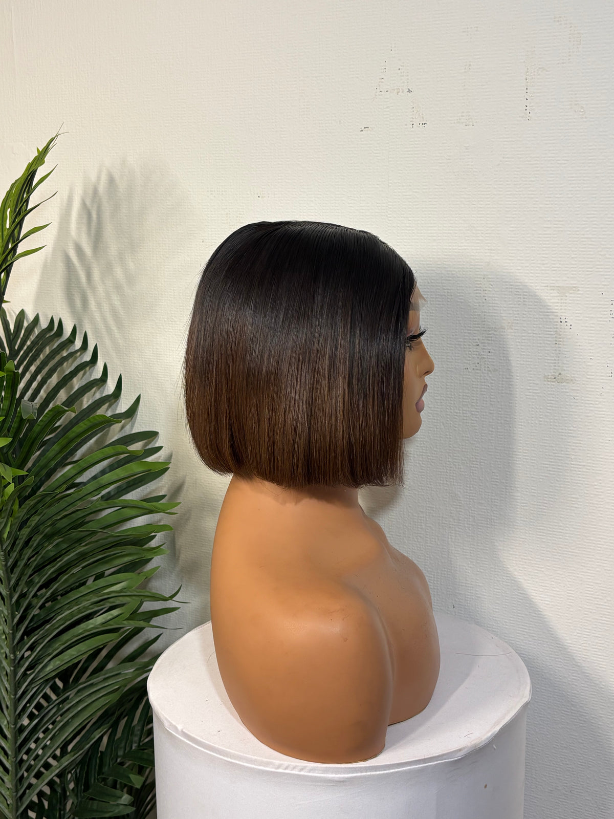 8” donor ombré brown