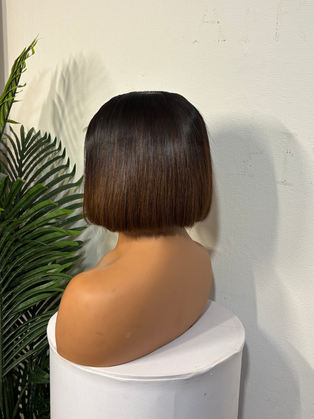 8” donor ombré brown