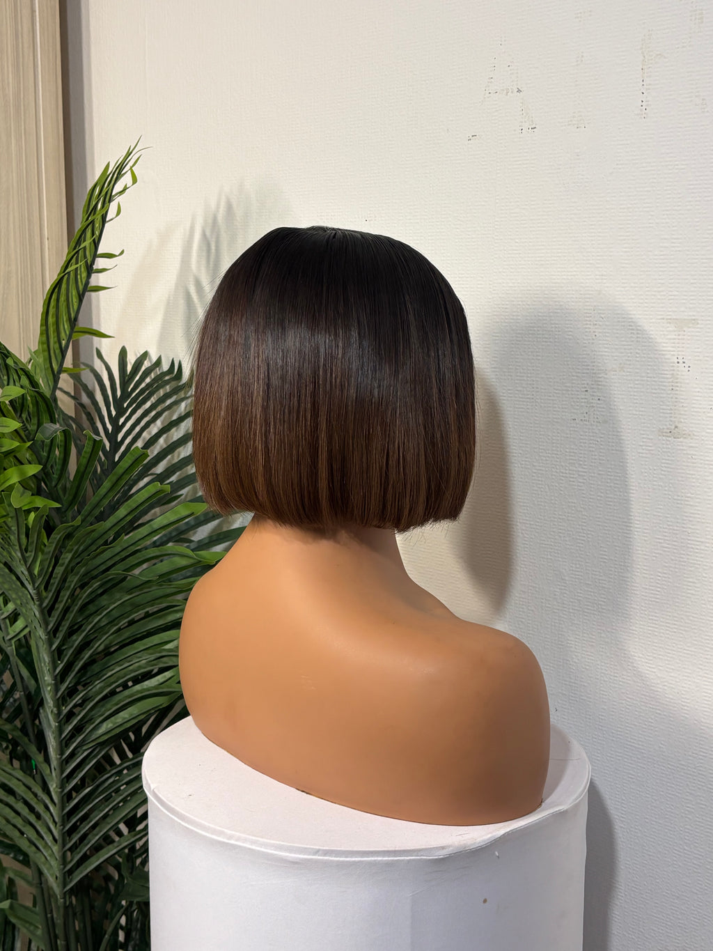 8” donor ombré brown